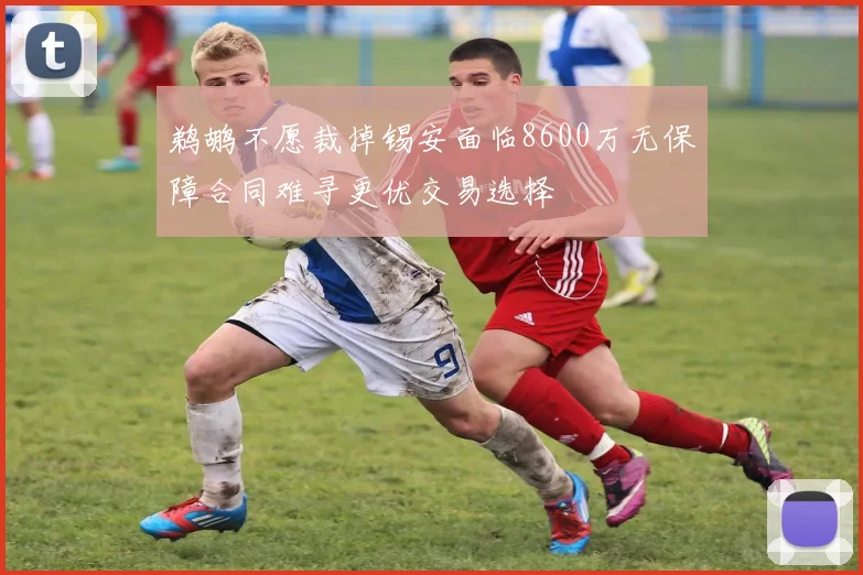 鹈鹕不愿裁掉锡安面临8600万无保障合同难寻更优交易选择